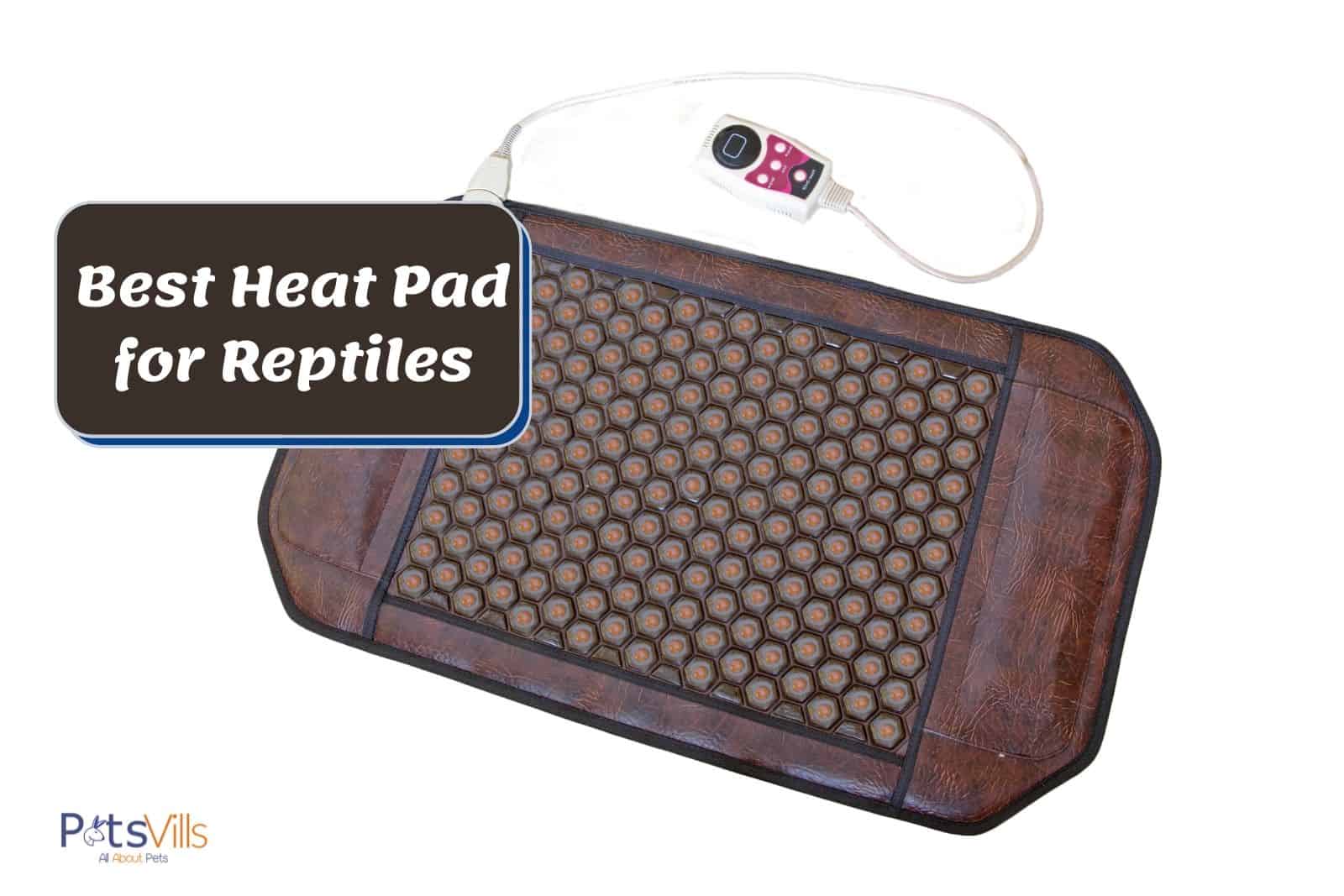 Providing A Warm Living Environment in The Cold Winter Heat Mat,Scratching Care Blanket USB Reptile Heating Mat in 3 Levels of High Suitable for Cold-Blooded Pets