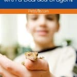 what can live with a bearded dragon? kid holding a lizard