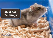 6 Best Rat Beddings for Utmost Comfort (Review)
