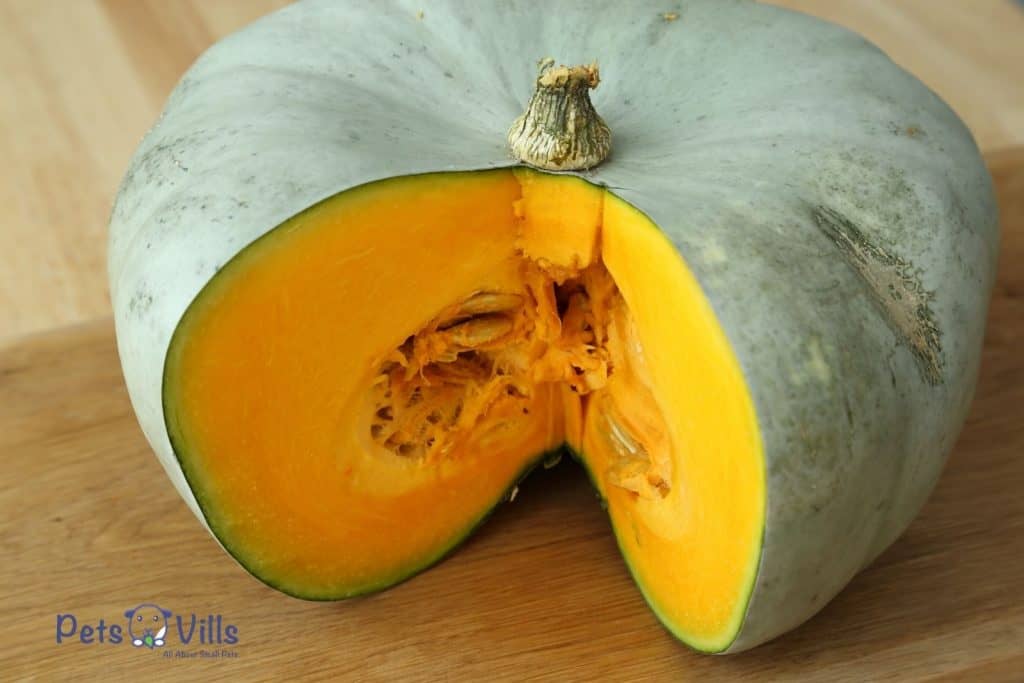 a ripe squash laying on the floor or table