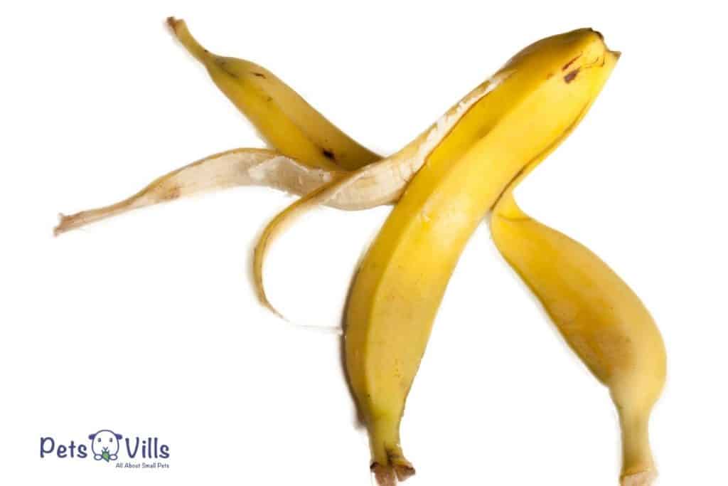 plain banana peal