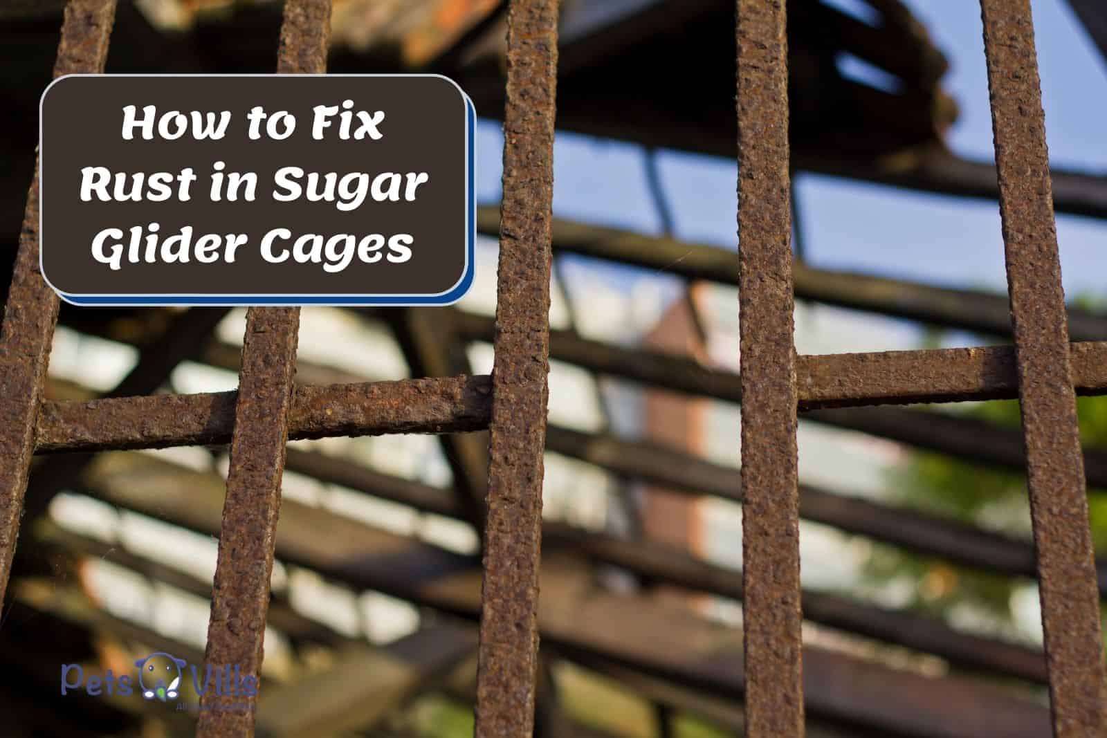 rusted cage