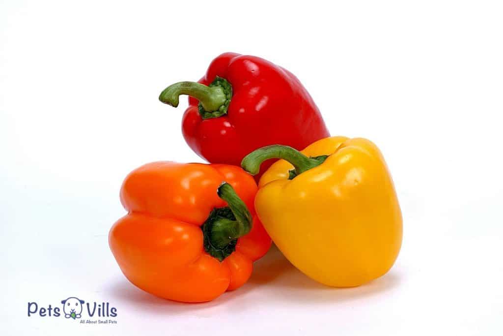 different bell peppers