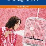 Should You Clean Your Bird Cage Often