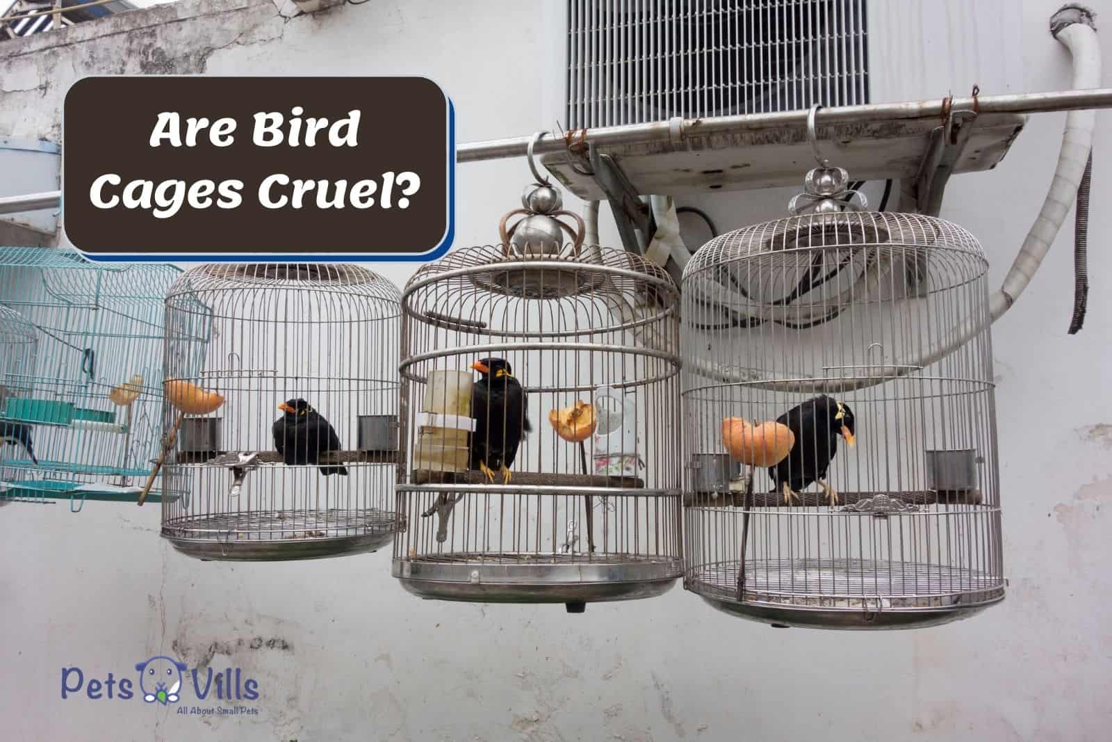 are bird cages cruel