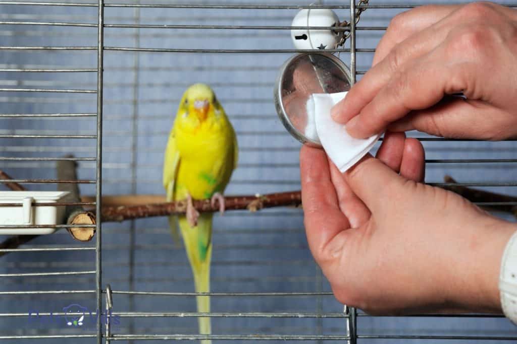 bird cage being cleaned