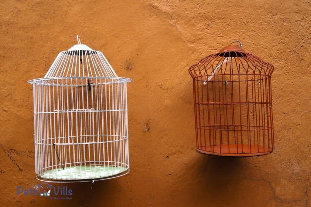 bird cage size