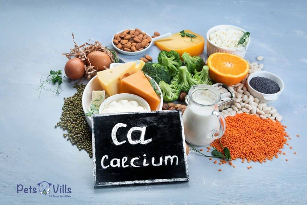 calcium based foods