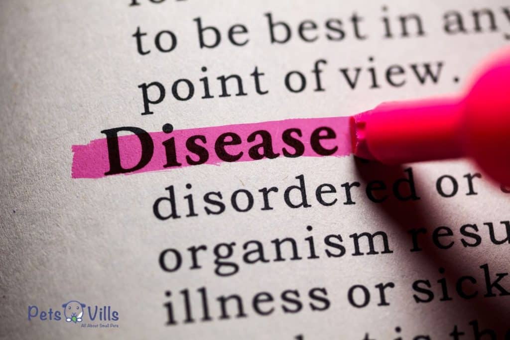 disease text