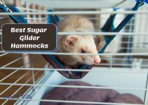 9 Best Sugar Glider Hammocks for Your Furry Friend (Review)