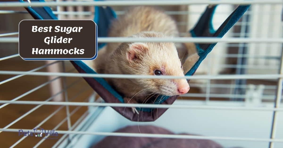 WOWOWMEOW Small Animal Cage Hanging Bunkbed Hammock Warm Fleece Bed for Sugar Glider Ferret Squirrel 