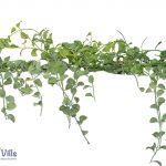 toy vine for cages