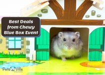 CHEWY BLUE BOX EVENT: 2022 Best Deals for Small Pets
