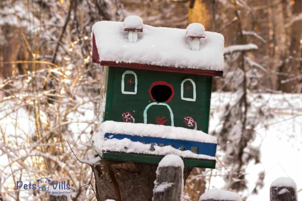 cute birdhouse covered with snow