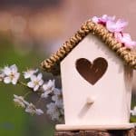 cute birdhouse with heart shape door