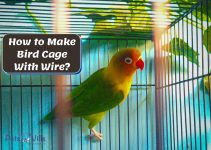 How to Make Bird Cage With Wire (7 Easy Steps to Follow)