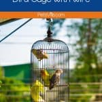 birds inside a wire cage