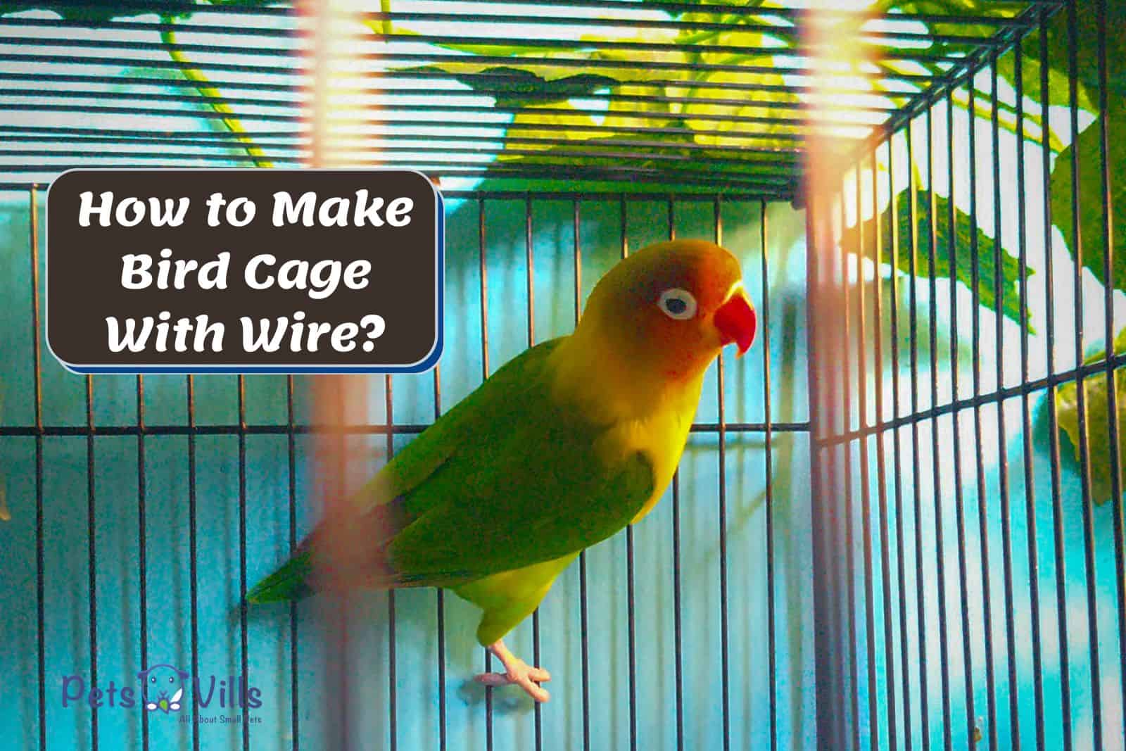 cute parrot inside a wire cage