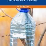 diy Bird Water Feeder