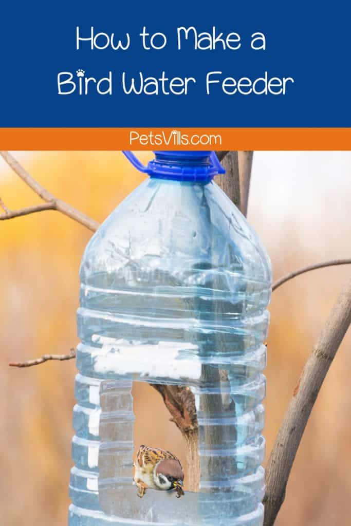 diy Bird Water Feeder