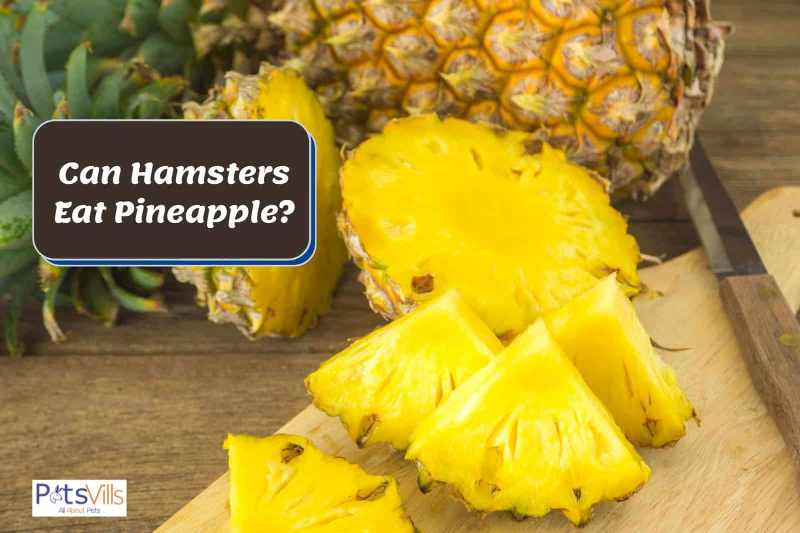 pineapple for hamster, can hamsters eat pineapple