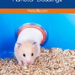 hamster in a cage with dirty bedding, how often to change hamster bedding