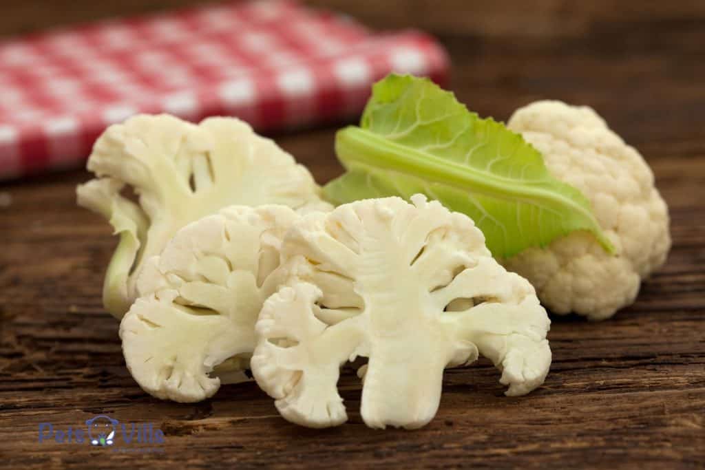 cauliflower for bearded dragons to eat