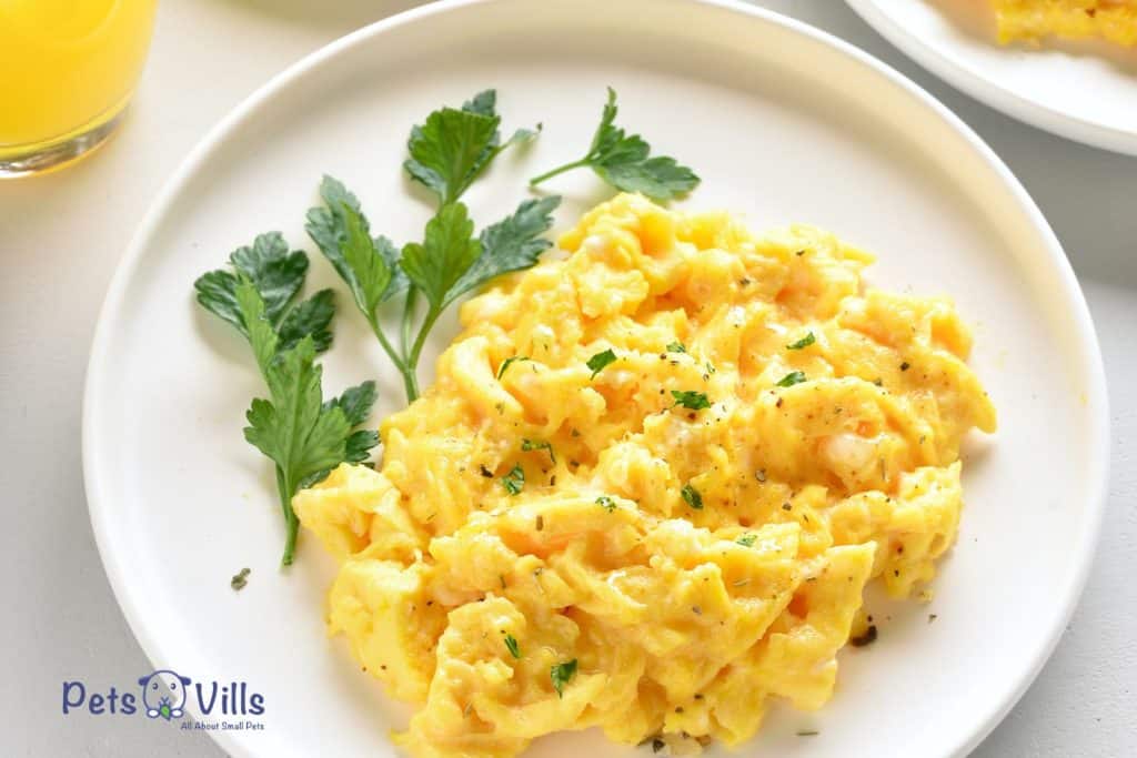 scrambled eggs for bearded dragons, can bearded dragons eat eggs