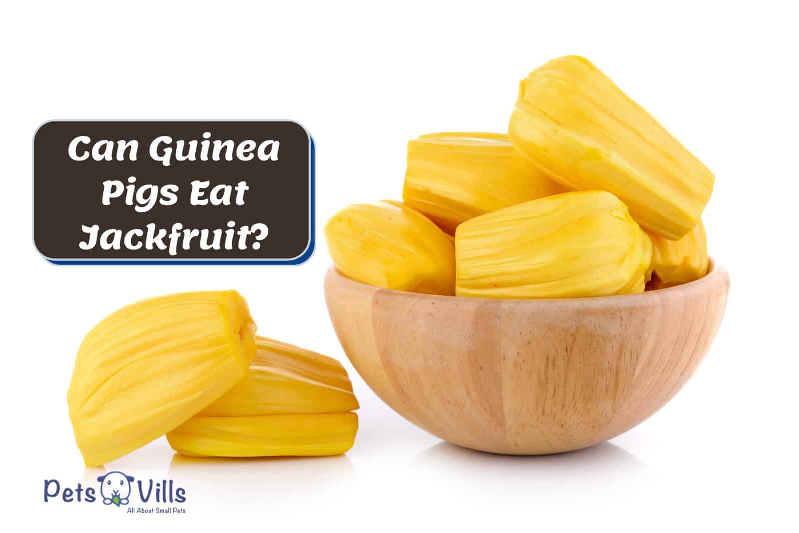pieces of jackfruits on a wooden bowl beside the text 