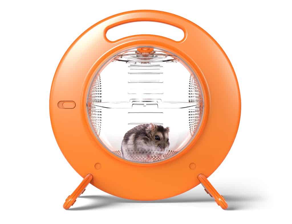 hamster inside a Halo pet carrier
