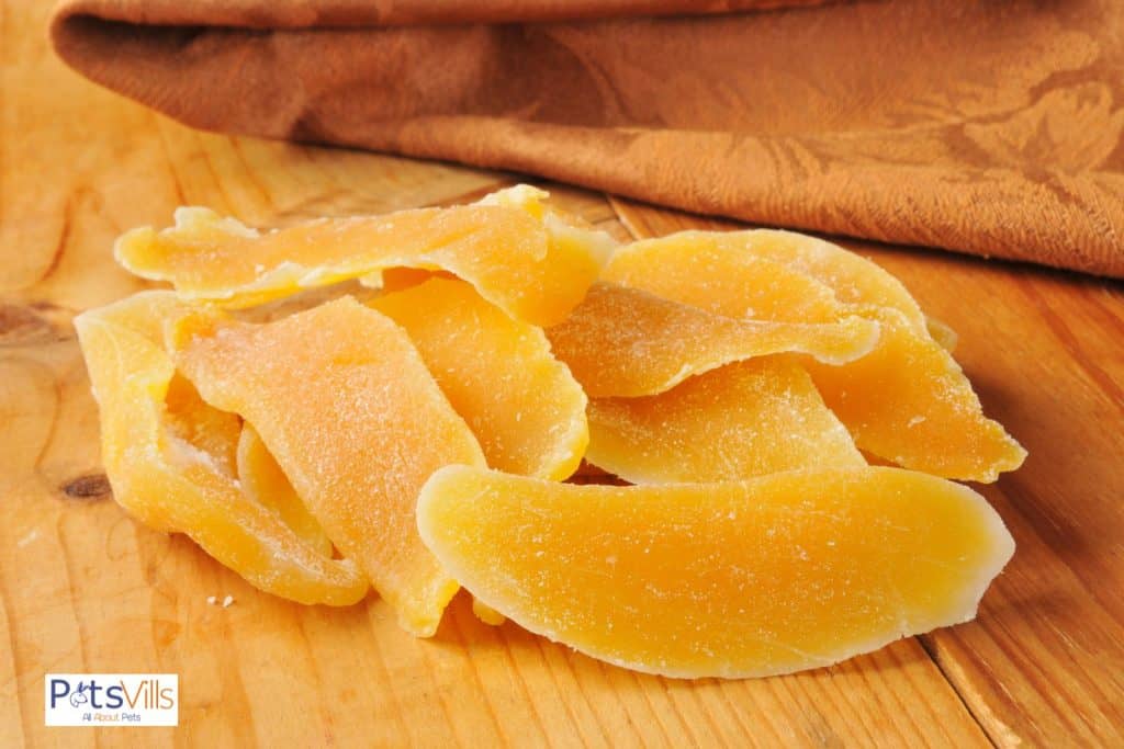 dried mango for hamster but can hamsters eat mango