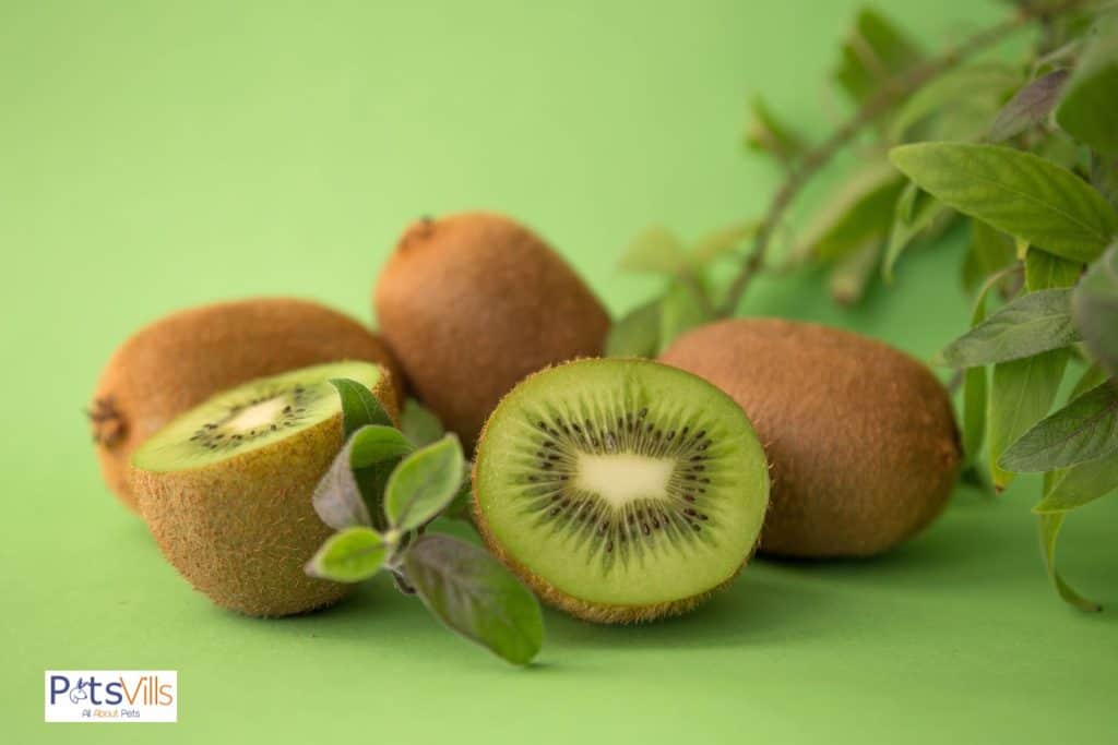 kiwi for chickens