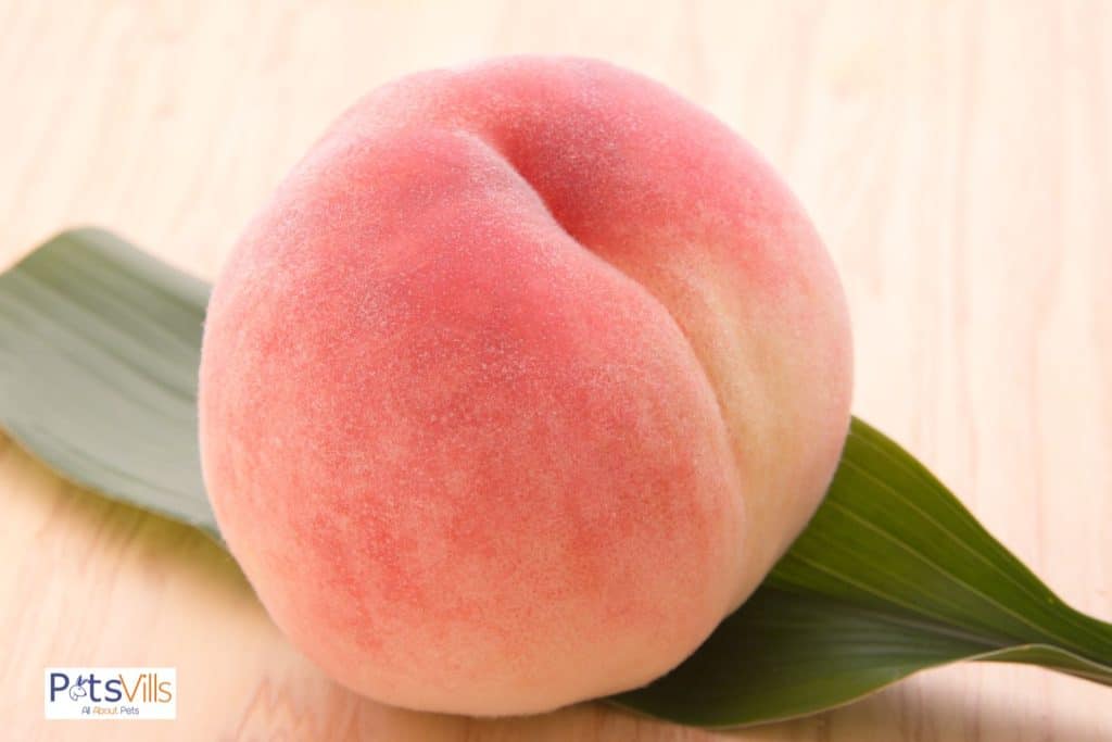 peach skin