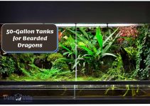 3 Best 50-Gallon Tanks for Bearded Dragons [Review & Buying Guide]