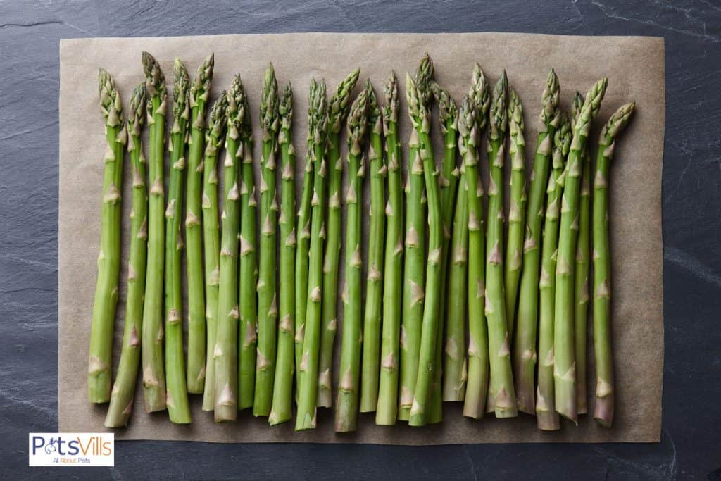 Asparagus for rabbits but can rabbits eat asparagus