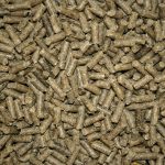 timothy pellets for rabbits but can rabbits eat chicken pellets