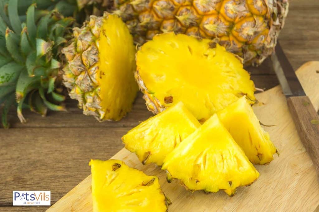 pineapple for rabbits but can rabbits eat pineapple