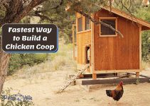 The Fastest Way to Build a Chicken Coop [Tips & Tricks]