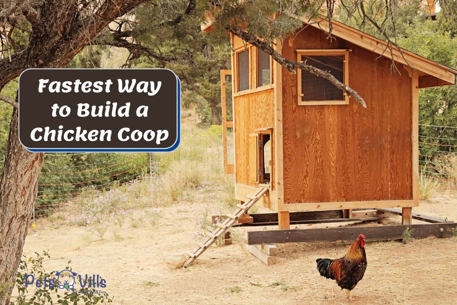 diy chicken coop but how do you Build A Chicken Coop Fast?