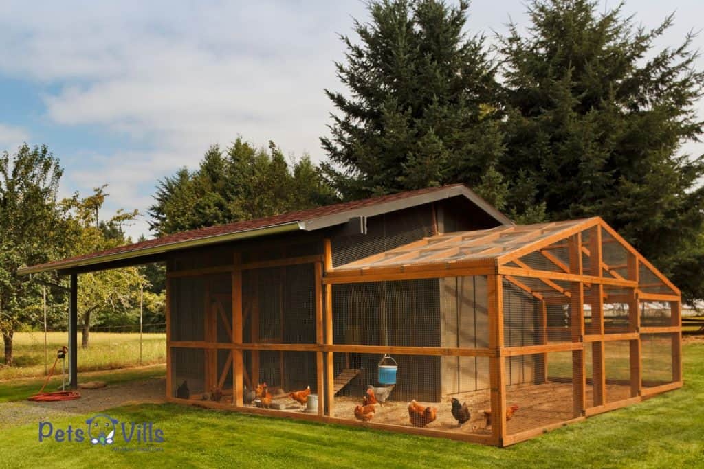 beautiful chicken coop