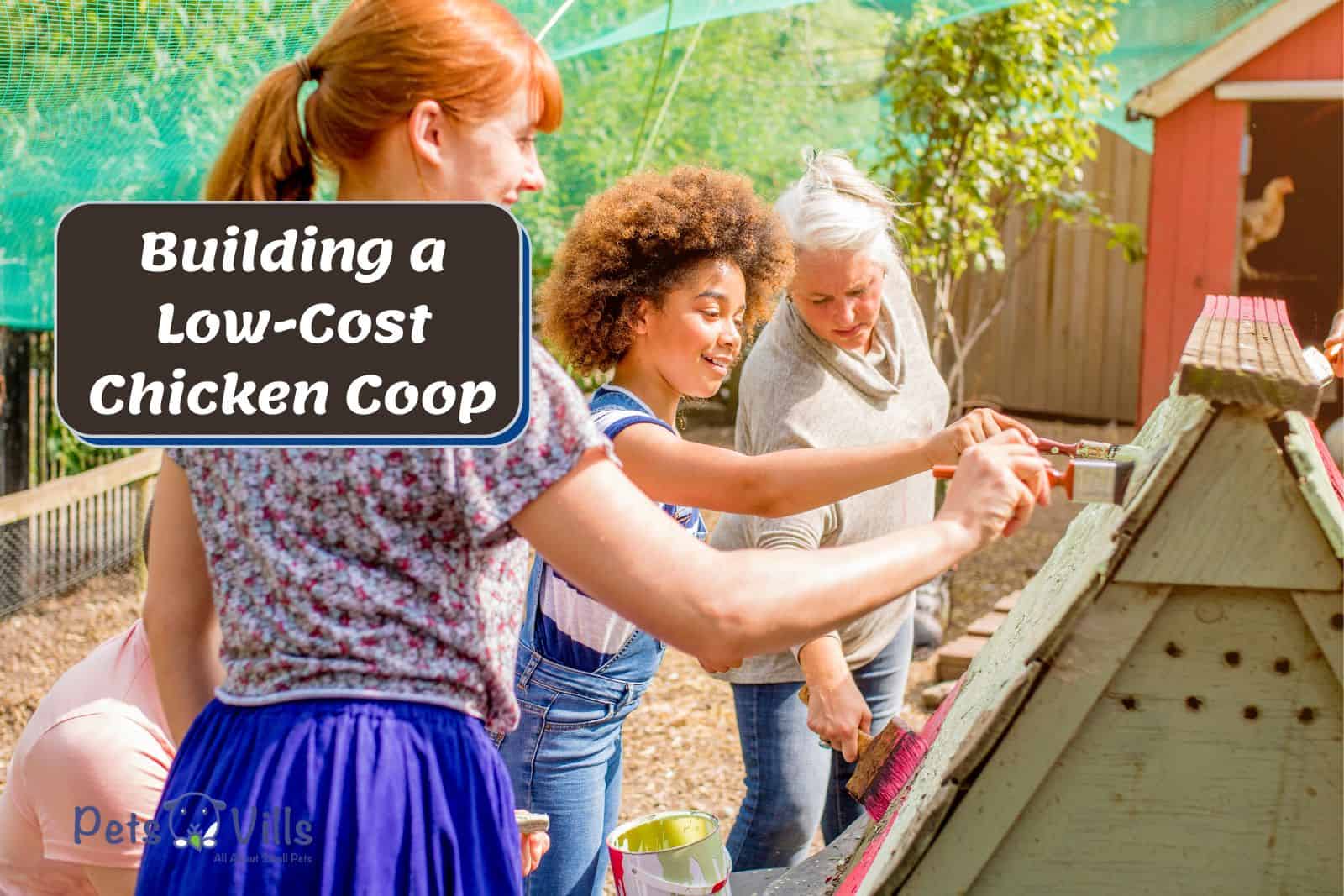 a family building Building Inexpensive Chicken Coops at their backyard