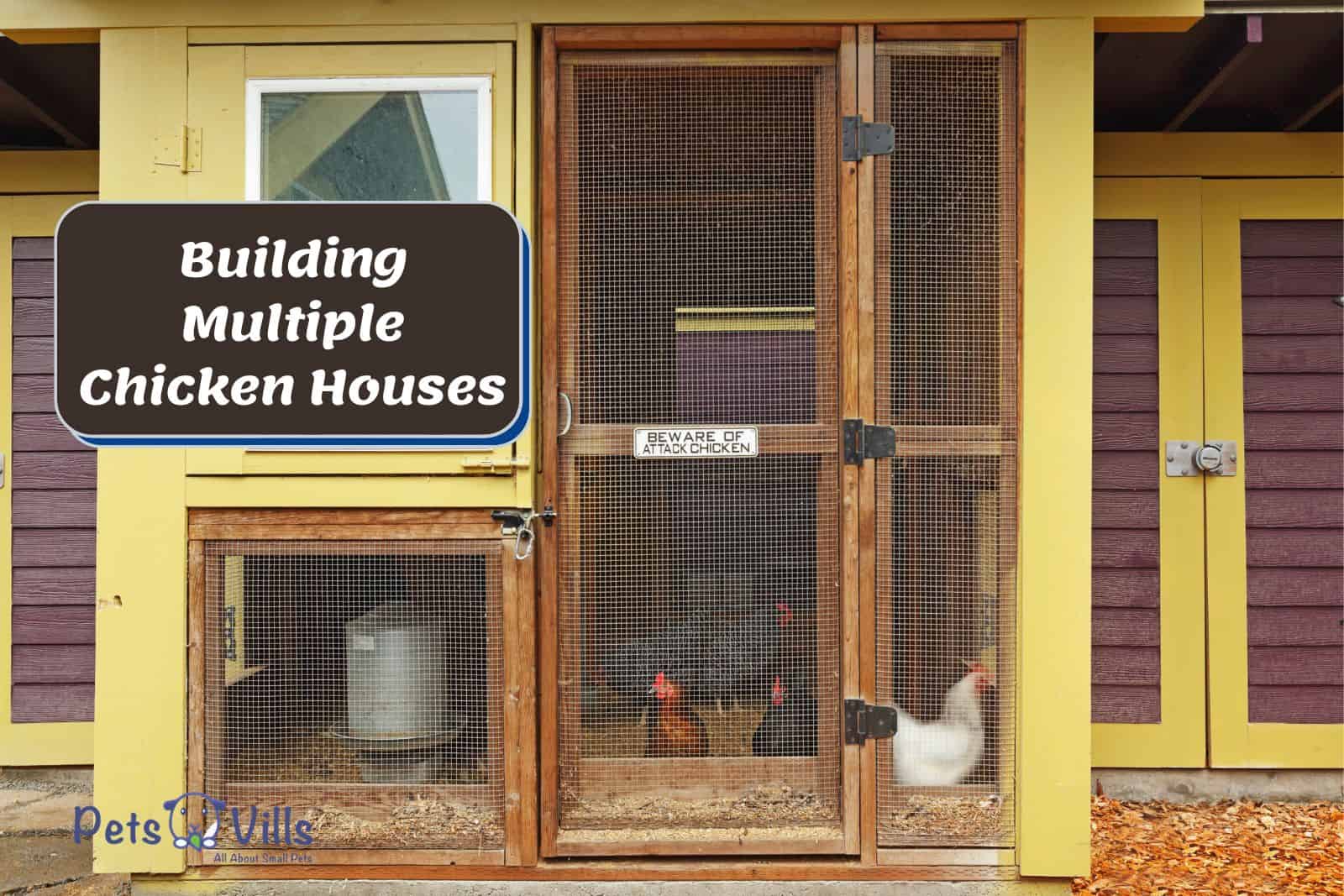 chickens inside a chicken coop