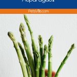 hand holding plenty of fresh asparagus
