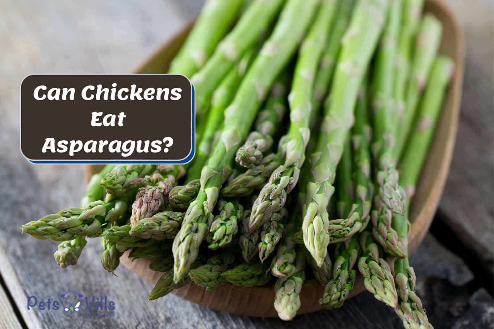 asparagus on a wooden plate for chickens but Can Chickens Eat Asparagus?