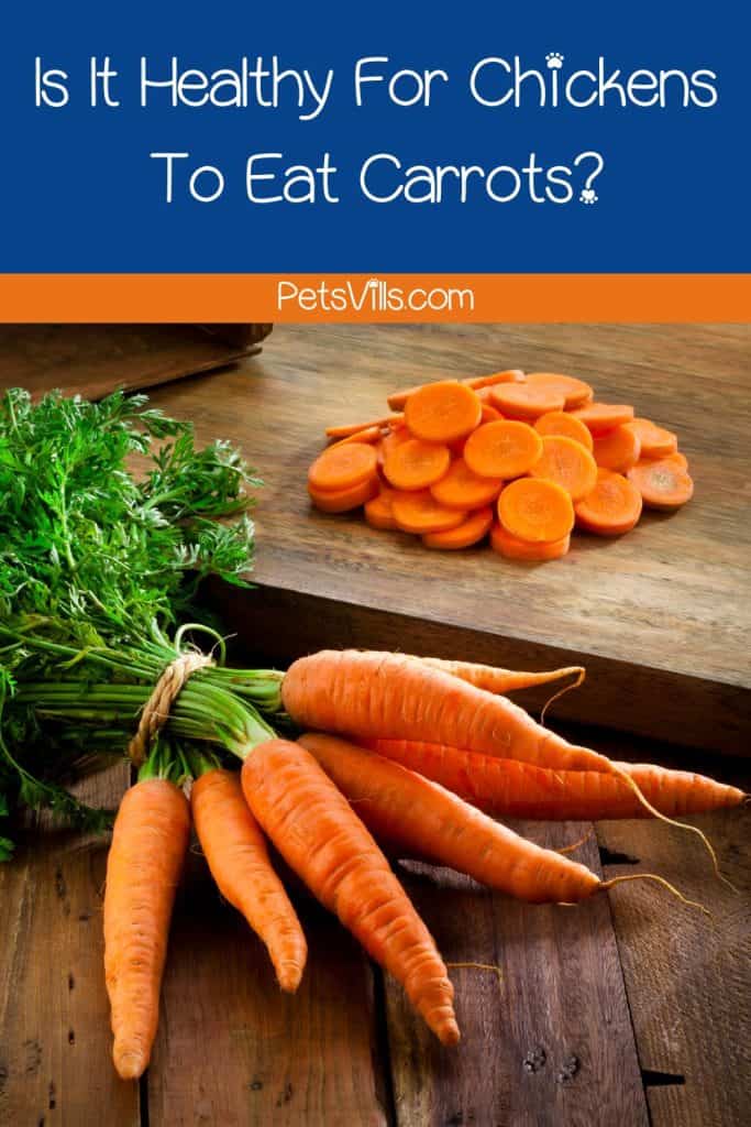 fresh carrots on the floor