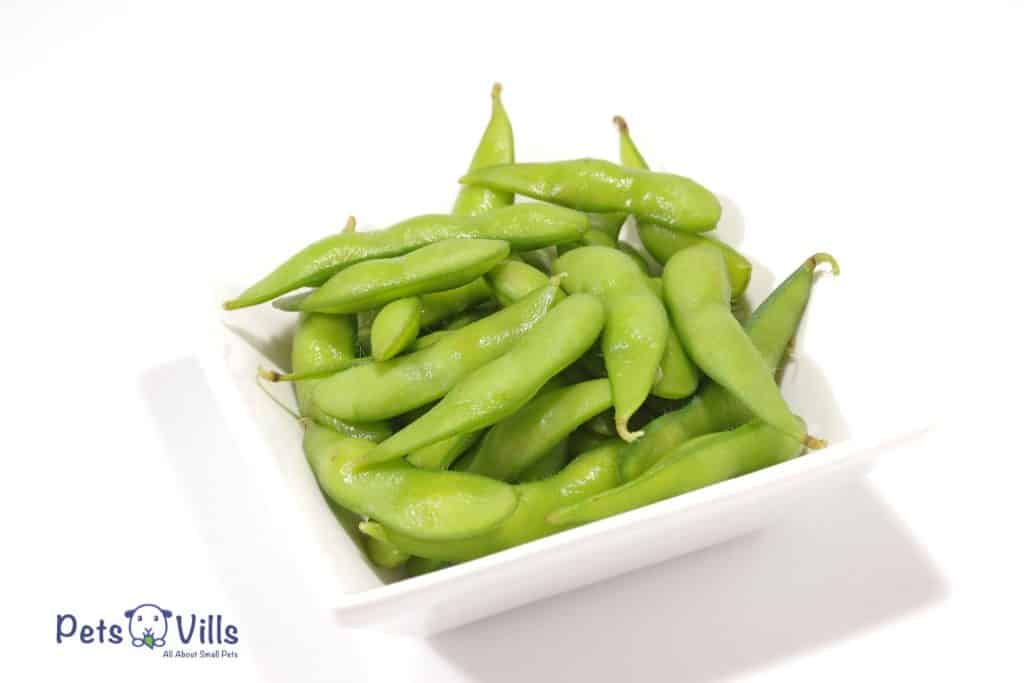 edamame on a white container