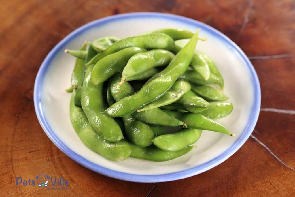 cooked edamame on a plate