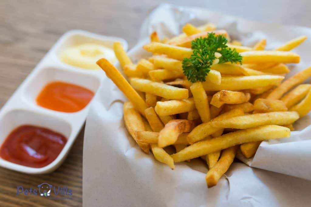 cooked fries with different dips on the side but Can Chickens Eat French Fries?