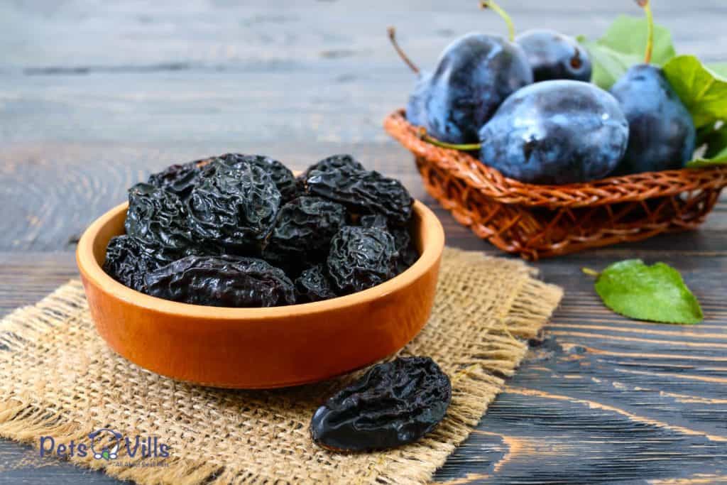 dried and fresh prunes on the bowls