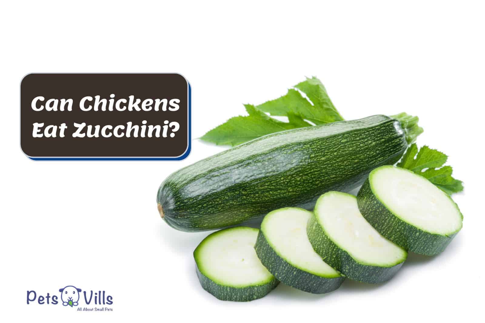 slices of Zucchini; Can Chickens Eat Zucchini?